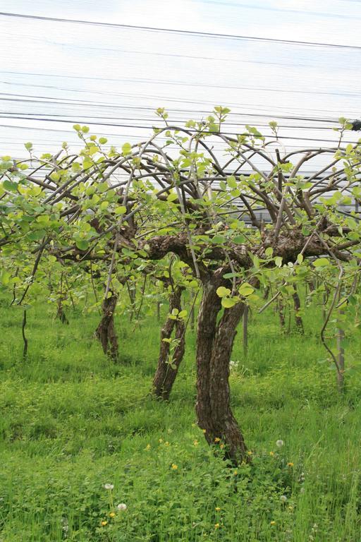 La Meridiana Crocetta del Montello Buitenkant foto